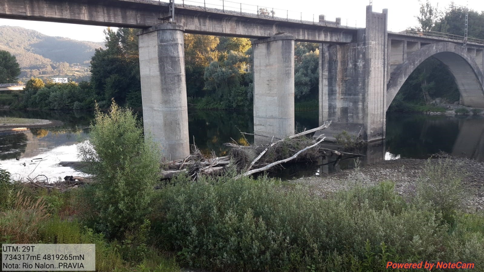 Imagen Restos vegetales acumulados en las inmediaciones de los pilares del puente