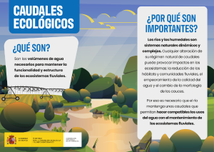 ¿Qué son los caudales ecológicos?