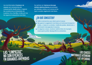 La conservación de los cauces ¿evita las inundaciones?