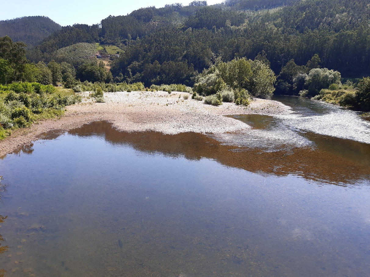 Imagen Antes de la actuación del río Nalón en Forcinas