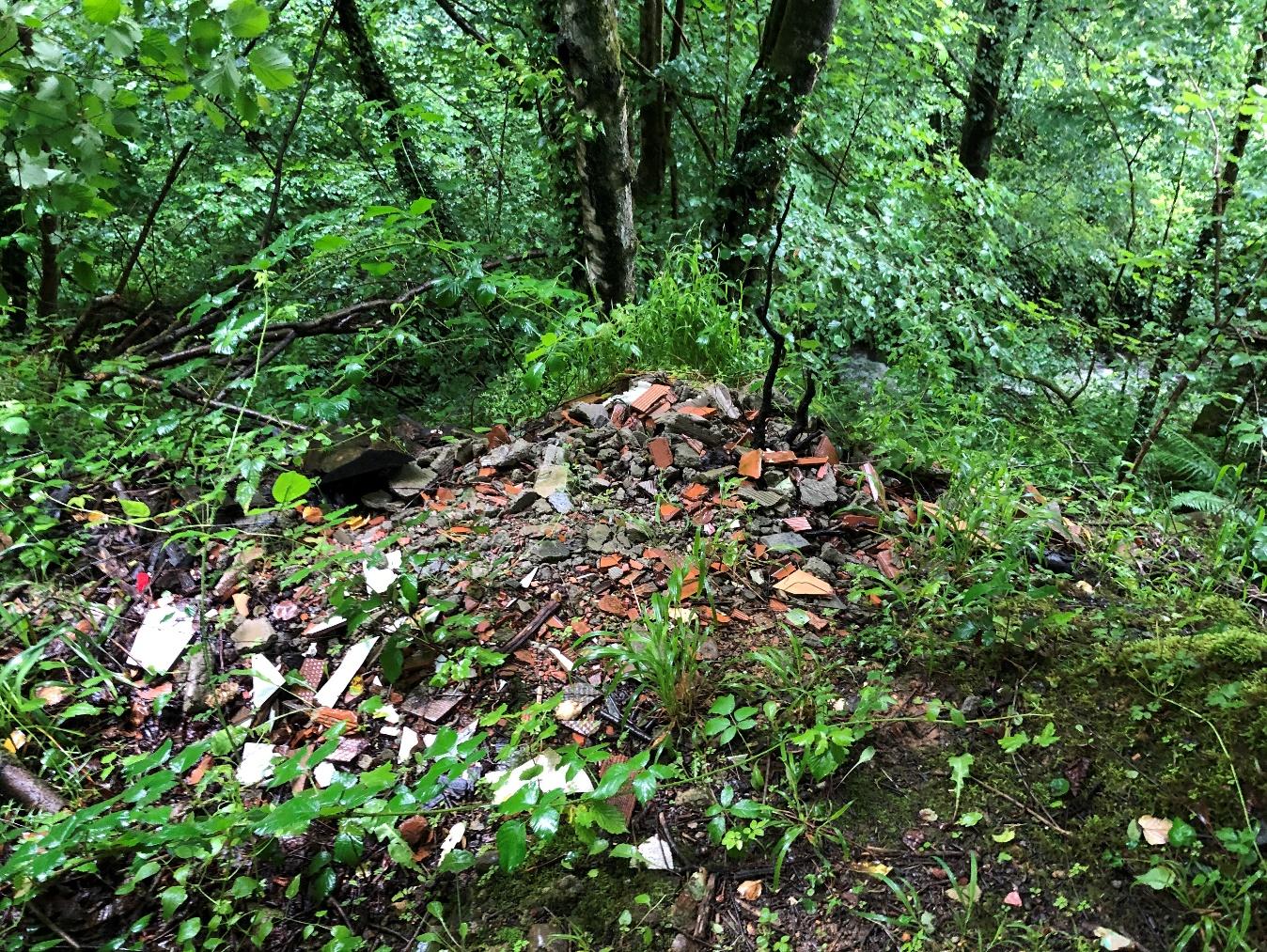 Imagen Vertedero ilegal en las inmediaciones del cauce del río San Juan