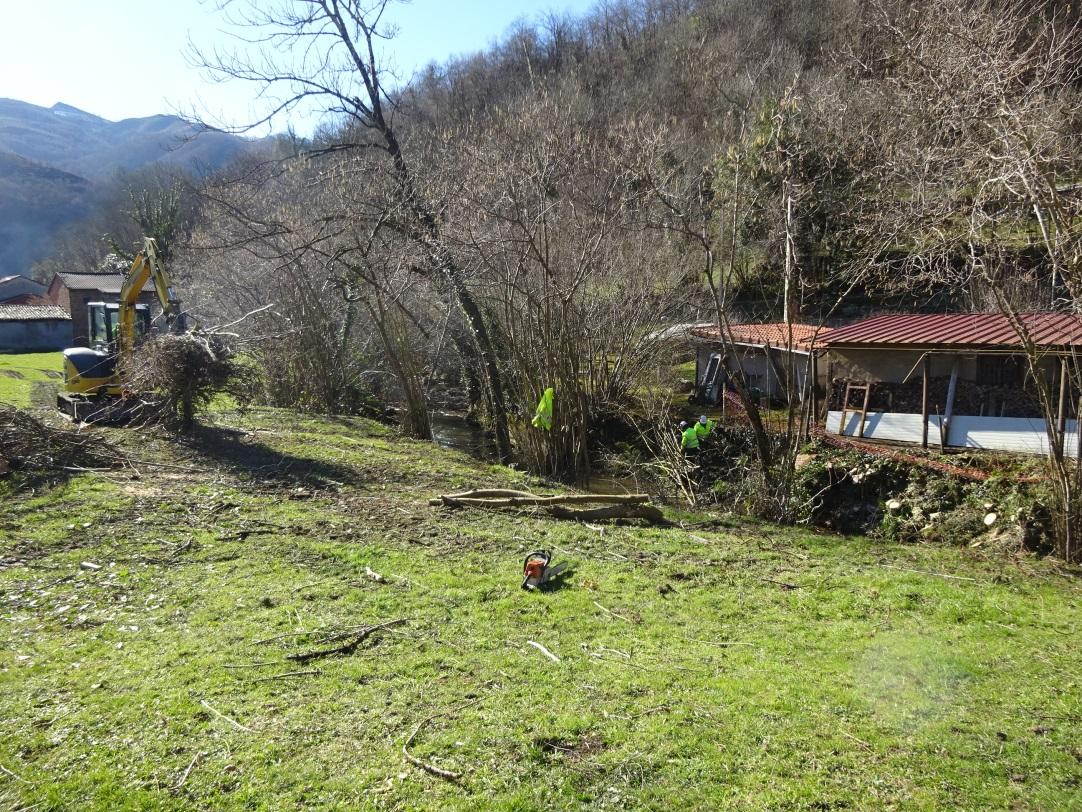 Imagen Adecuación de la vegetación de la ribera
