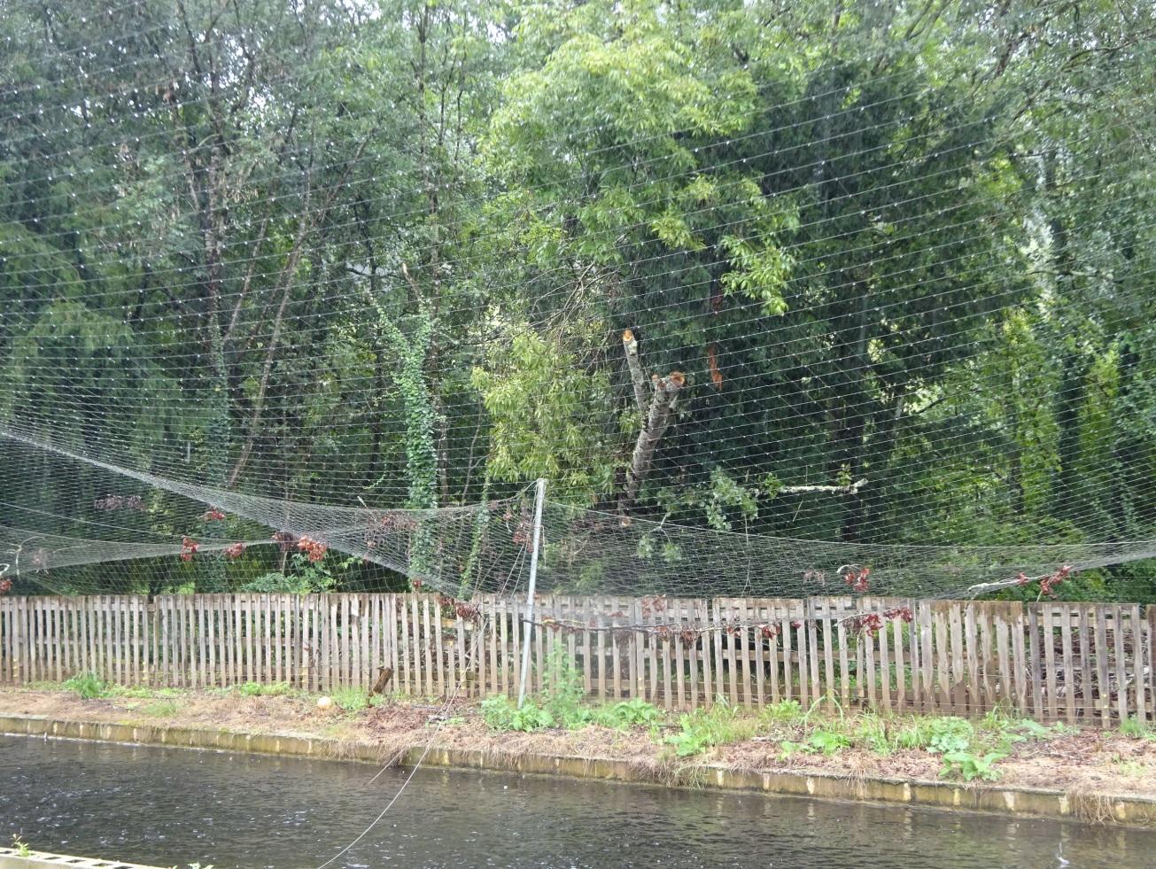 Imagen Instalaciones de la piscifactoría afectadas por el árbol caído