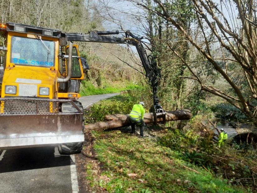 Imagen Proceso de extracción de árbol de grandes dimensiones del cauce