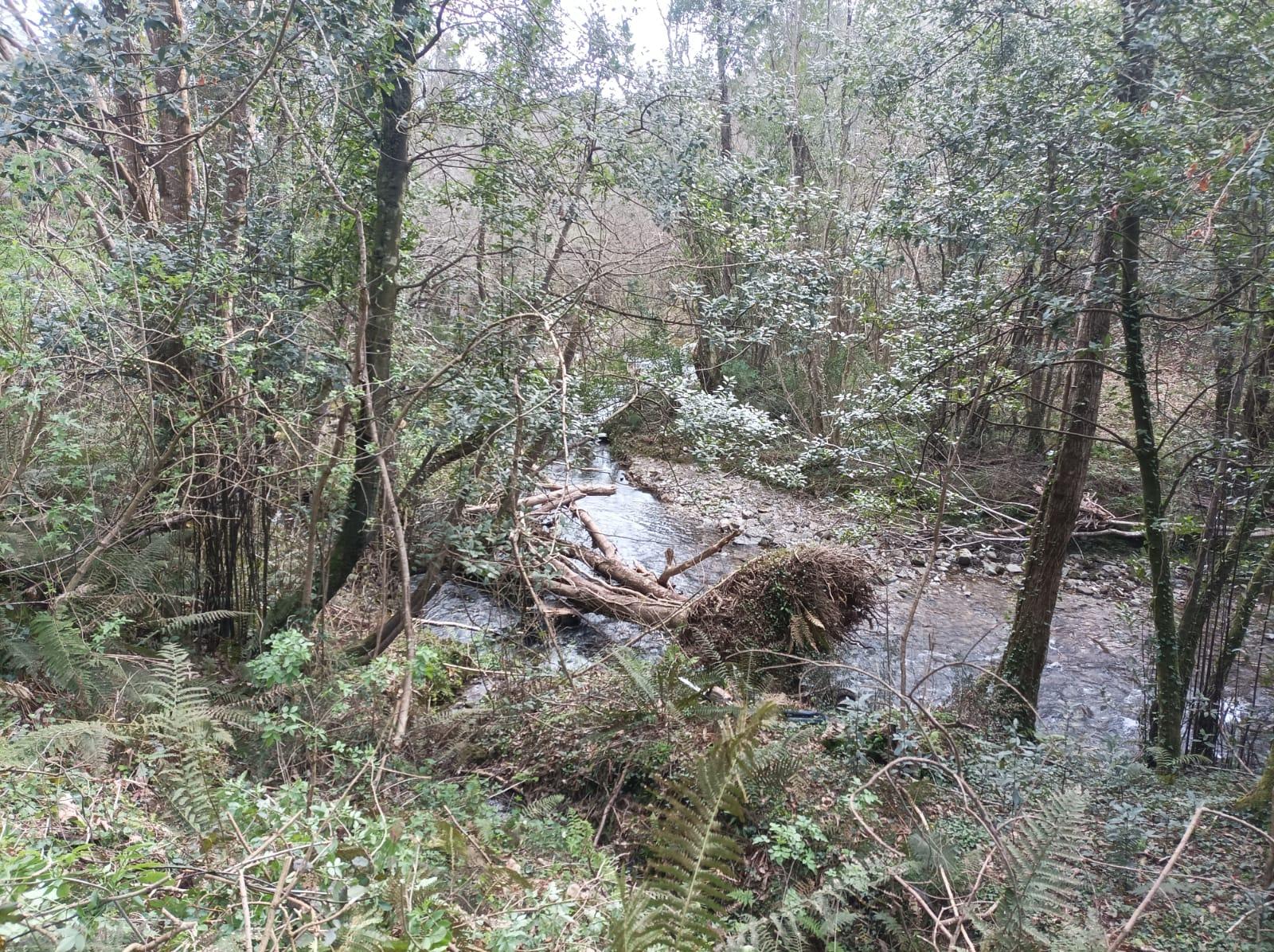 Imagen Situación del río Porcía antes de los trabajos