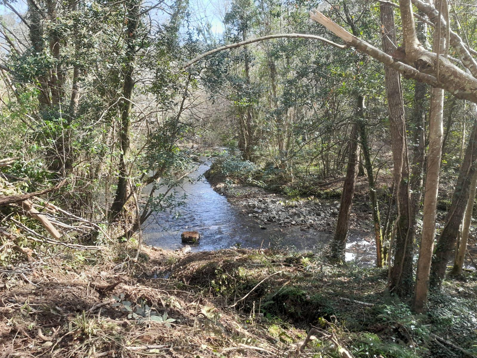 Imagen Situación del río Porcía después de los trabajos