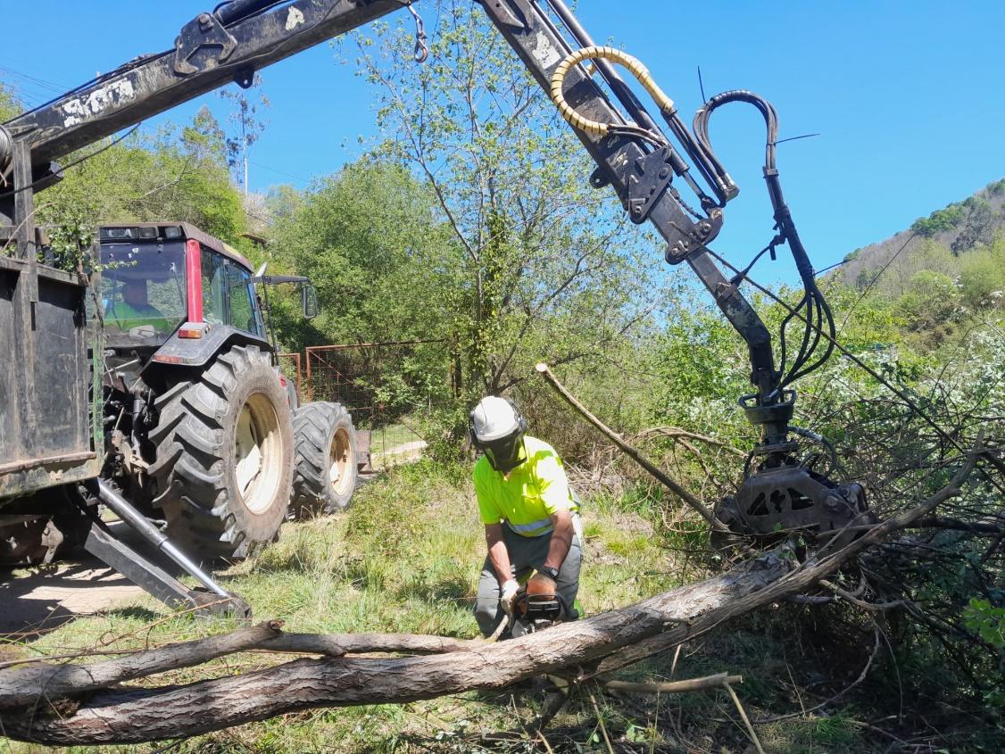 Imagen Extracción de troncos del cauce del arroyo de San Tirso