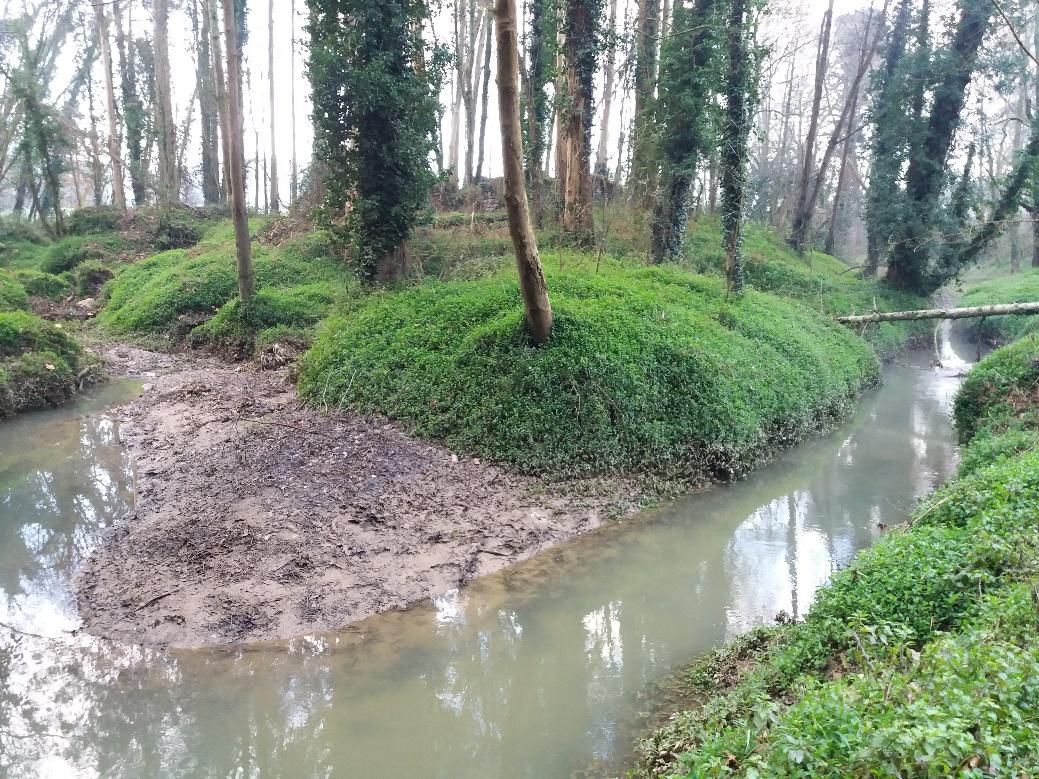Imagen Sedimentos presentes en los sumideros donde el cauce se sotierra