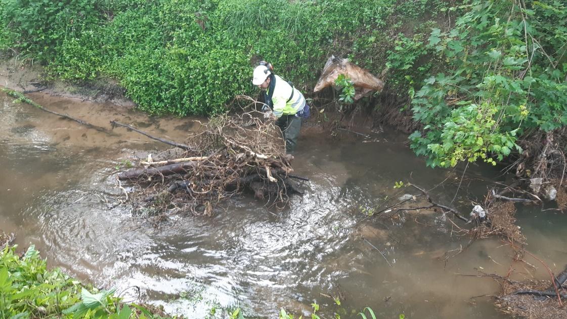 Imagen Restos vegetales acumulados en el cauce del río Raíces