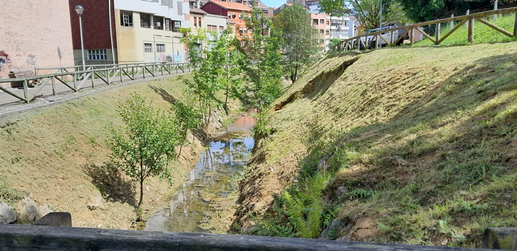 Imagen Desbroce previo en una de las zonas con mayor afección en el talud