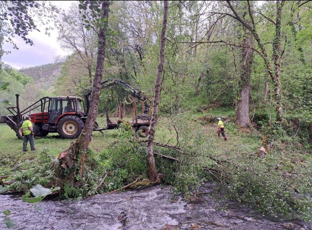 Imagen Autocargador recogiendo restos vegetales en el río Das Cales