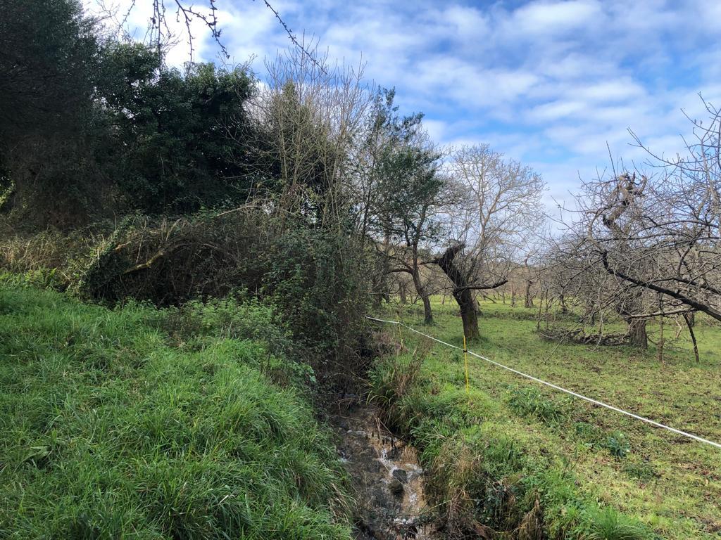 Imagen Zona de la actuación en el arroyo Fuente del Noval
