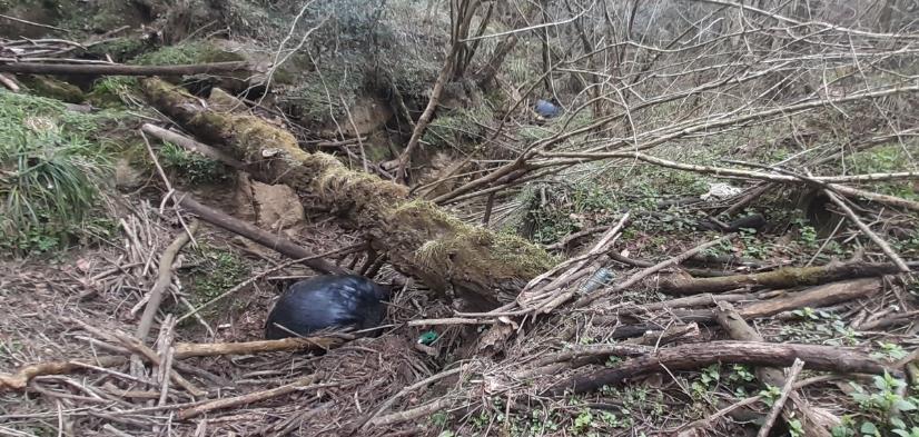 Imagen Antes. Taponamiento de restos de vegetales en el sumidero de la sima