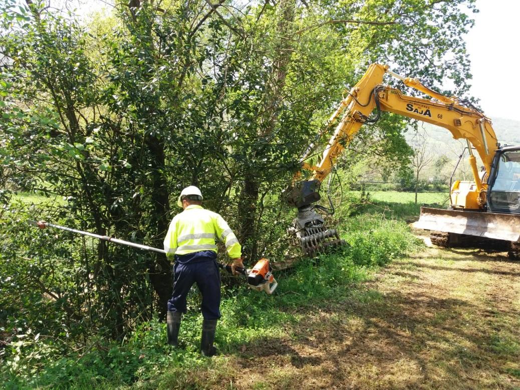 Imagen Trabajos sobre el arbolado con riesgo de caída al cauce
