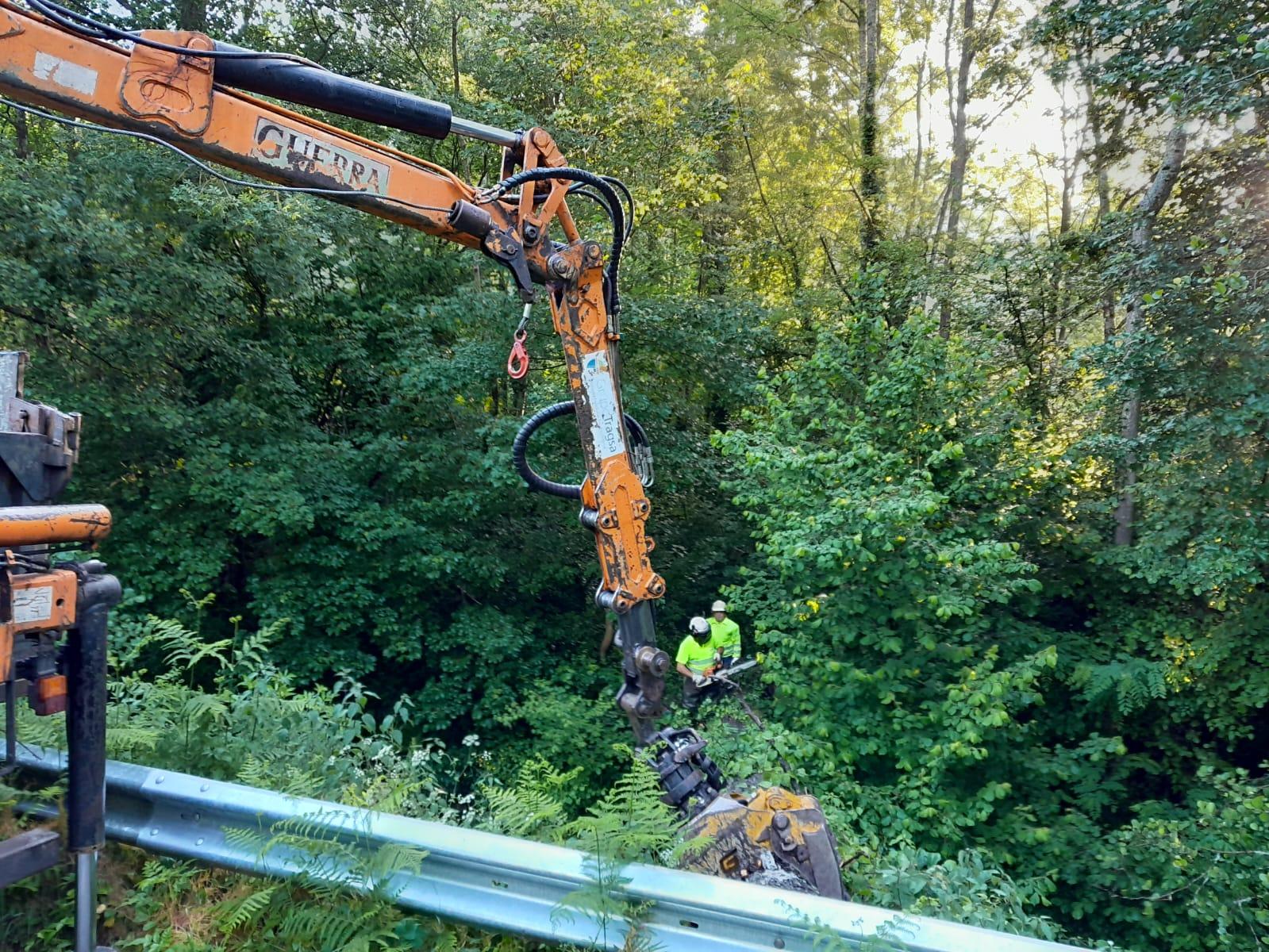 Imagen Trabajos de retirada de árboles caídos en el cauce