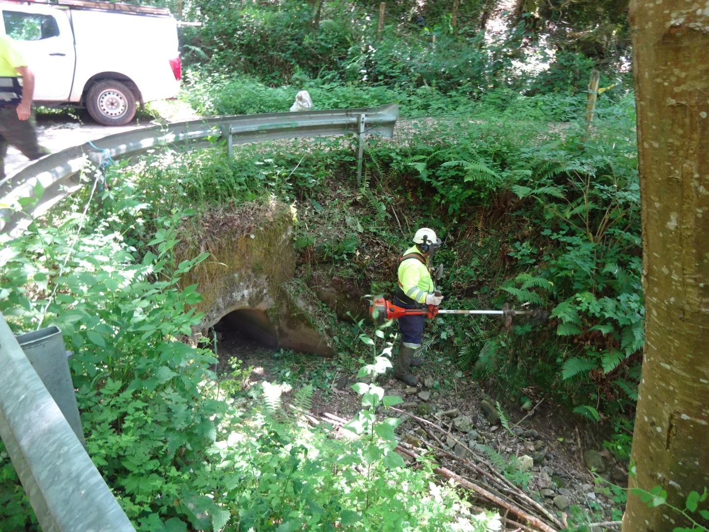 Imagen Trabajos de mantenimiento en las proximidades de una obra de paso