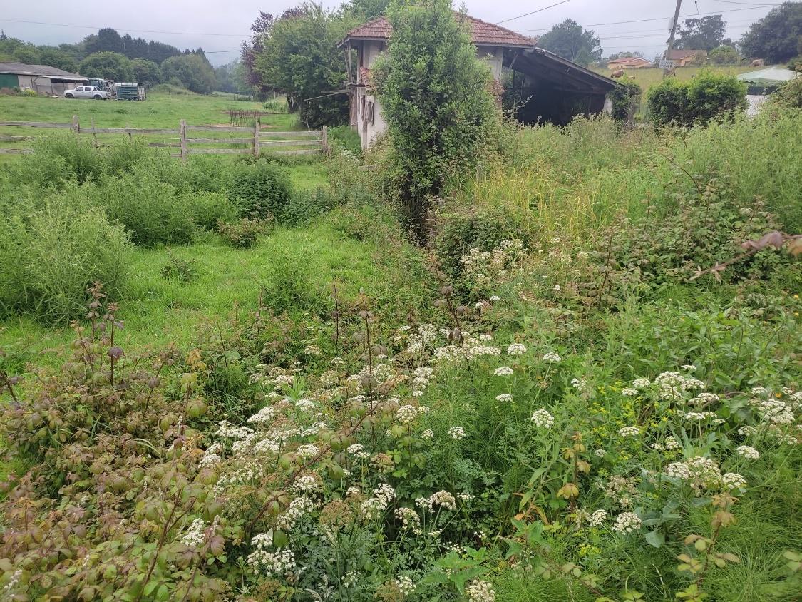 Imagen Situación antes de los trabajos en el río Foro