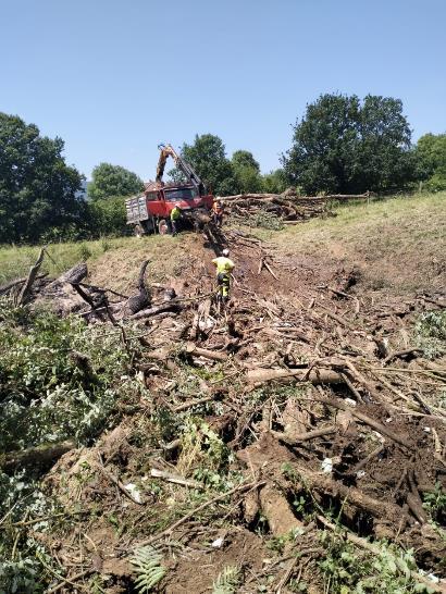 Imagen Extracción de restos vegetales de las zonas de acumulación