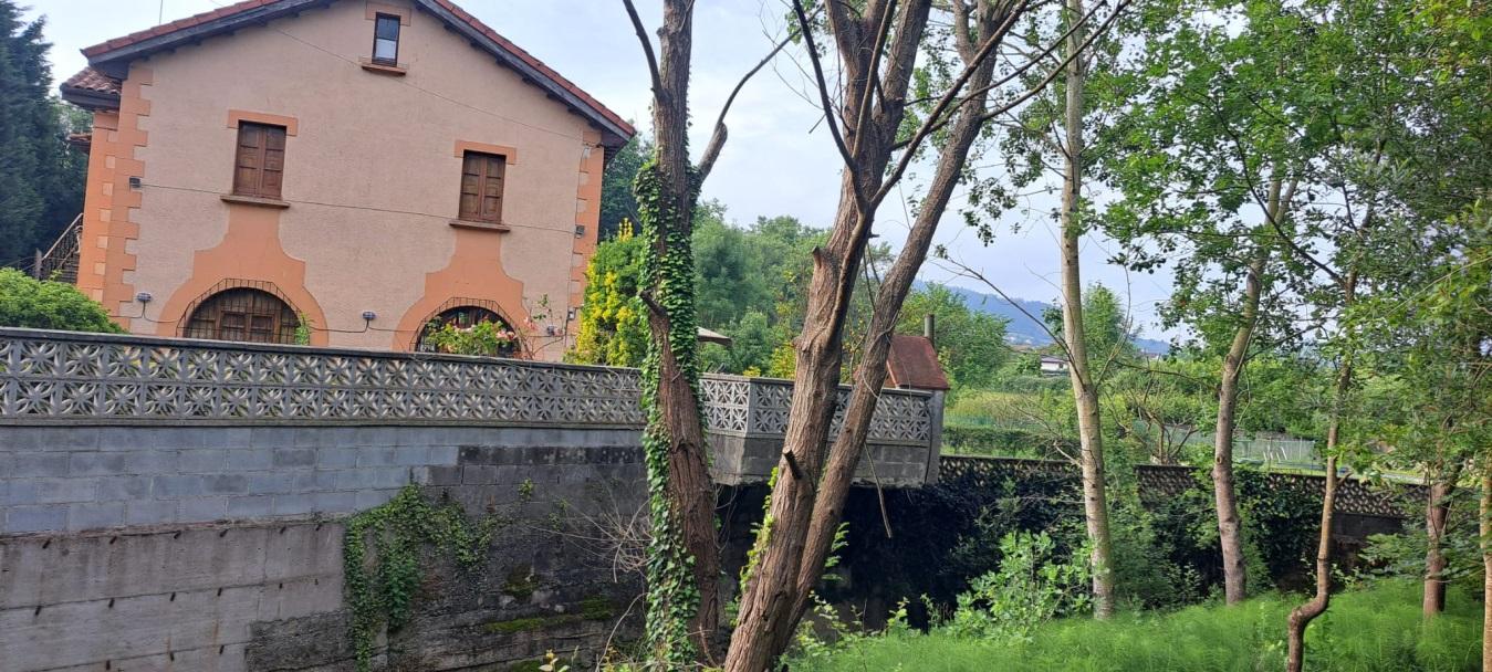 Imagen Parcela particular afectada por el riesgo de caida de los arboles del arroyo