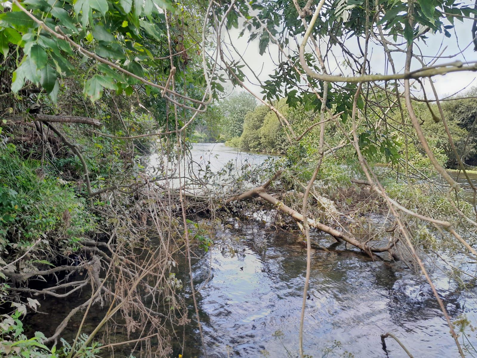 Imagen Antes de la actuación en el río Eo