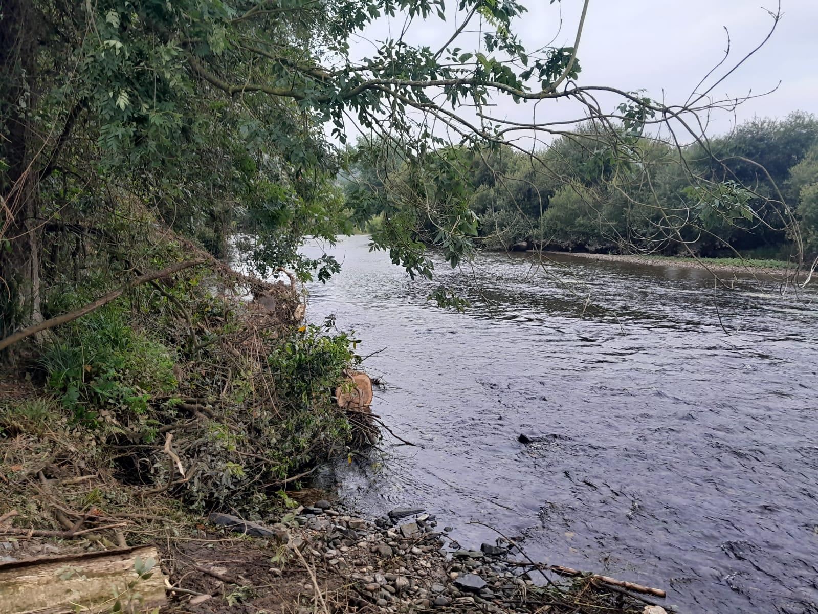 Imagen Después de la actuación en el río Eo