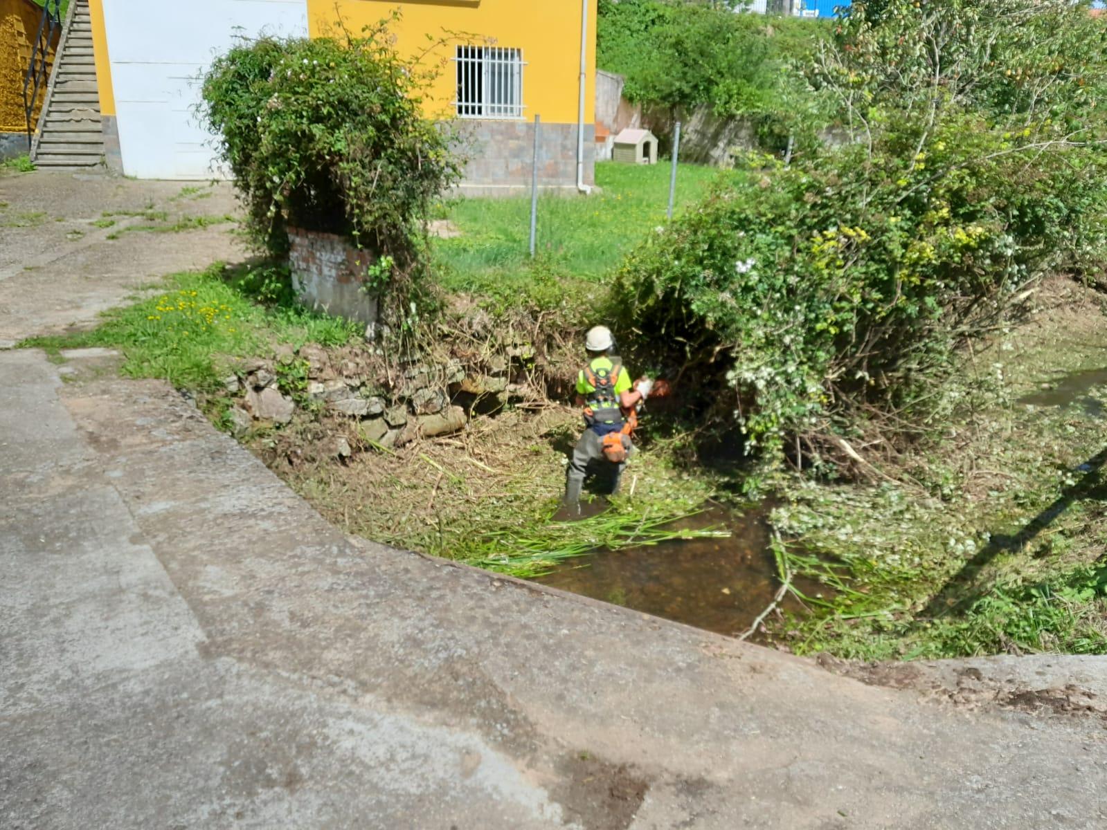 Imagen Inicio de los trabajos sobre la vegetación arbustiva del cauce
