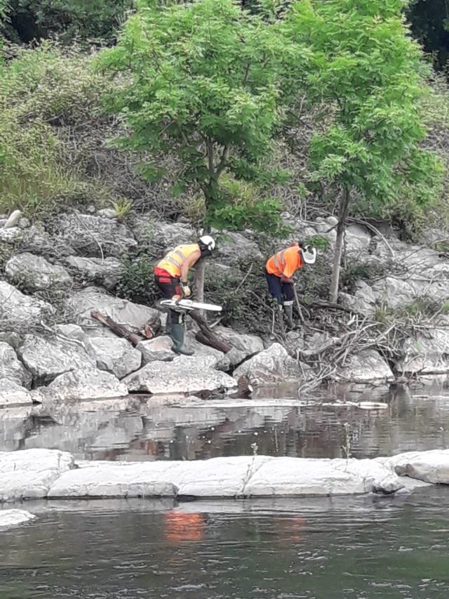 Imagen Retirada de restos vegetales en las márgenes tras haber sido troceada con motosierra