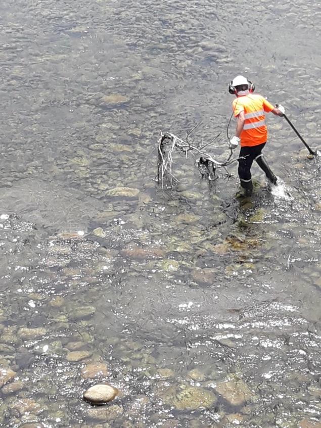 Imagen Retirada manual de restos vegetales presentes en el cauce