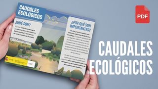 ¿Qué son los caudales ecológicos?