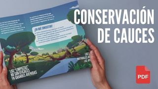 La conservación de cauces, ¿evita las inundaciones?