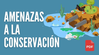 Amenazas a la conservación