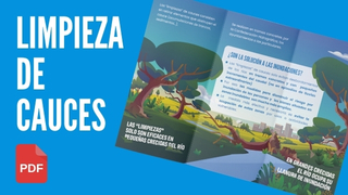 Limpieza de cauces