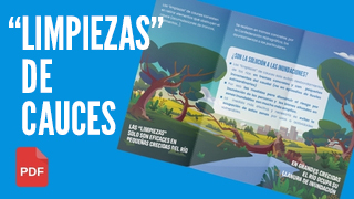 Limpieza de cauces