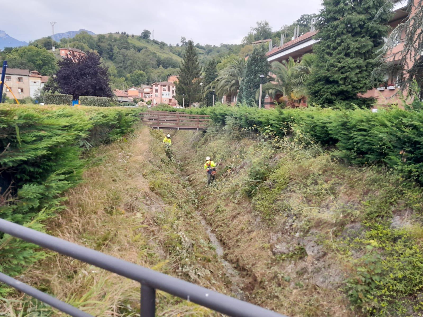 Durante los trabajos en el arroyo Somorcín