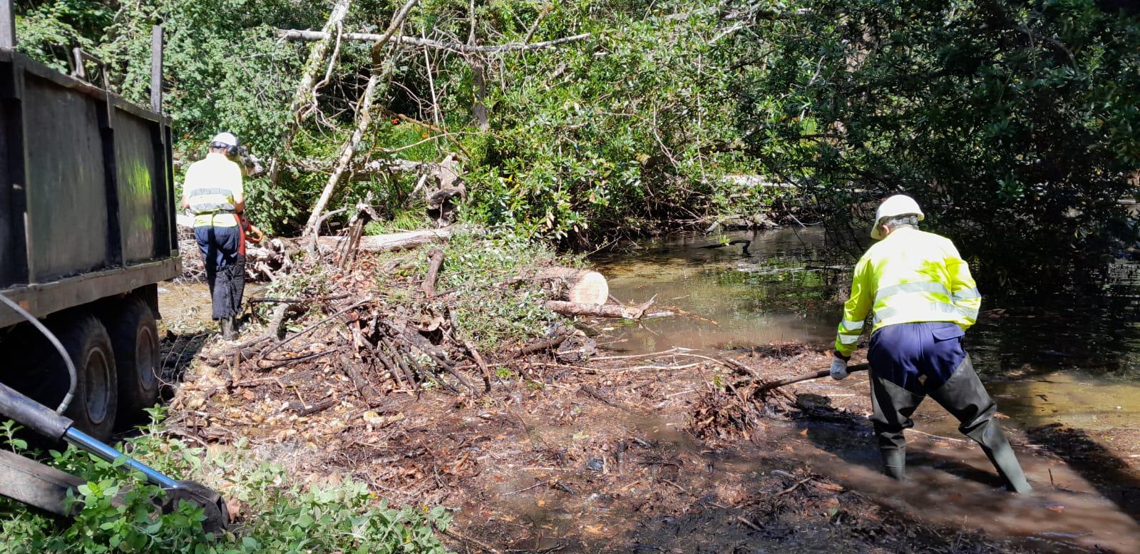 Imagen Labores de retirada de restos vegetales arrastrados por la corriente