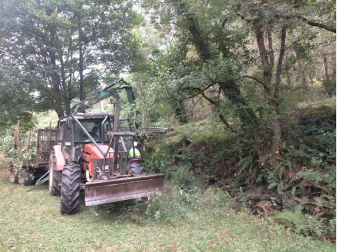 Imagen Extracción de restos vegetales del cauce