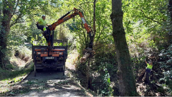 Imagen Trabajos de extracción de restos vegetales del interior del cauce 