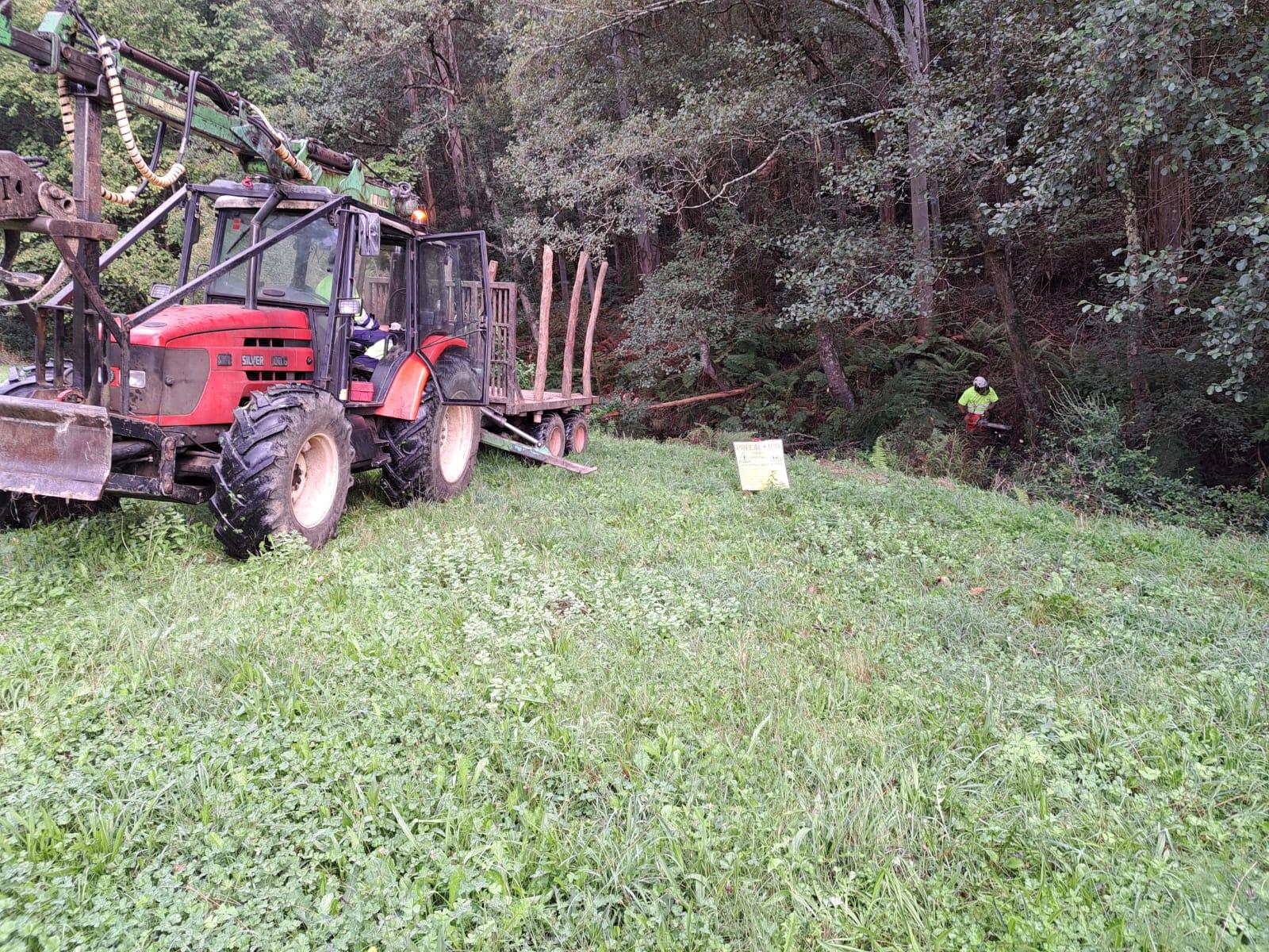 Imagen Trabajos de retirada de los restos vegetales acumulados