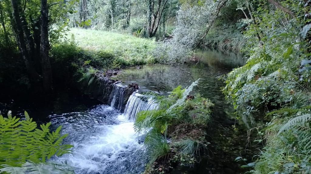 Imagen Antes de la actuación en Carbón