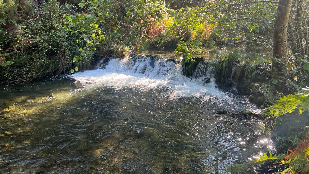 Imagen Antes de la actuación en Llosorio