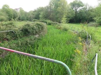 Imagen Tramo encauzado del arroyo Pelegrín antes de la actuación