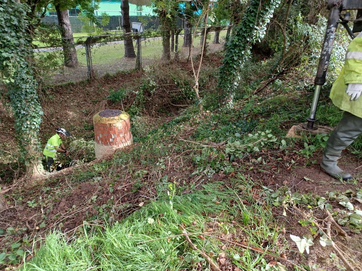 Imagen Extracción de restos vegetales del cauce
