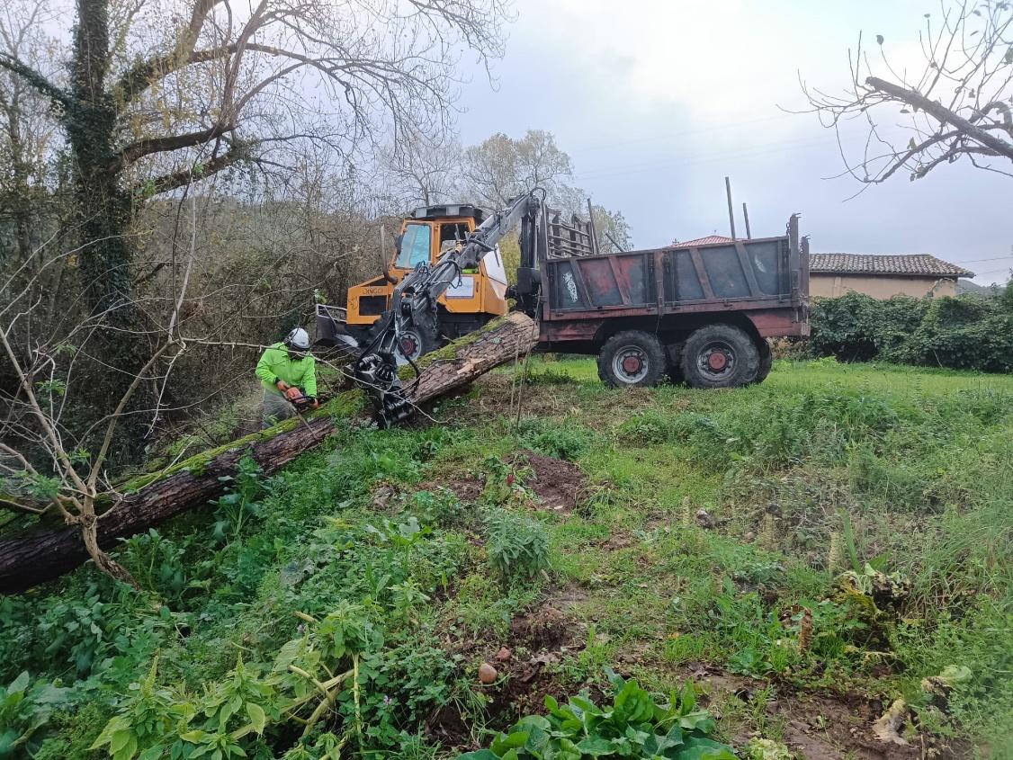Imagen Trabajos de retirada de los restos vegetales