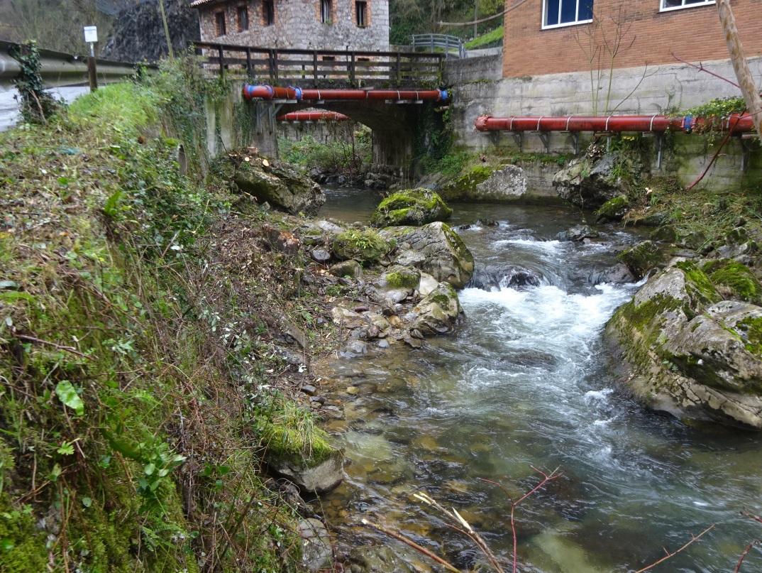 Imagen Zona de actuación después de la retirada de los restos vegetales acumulados