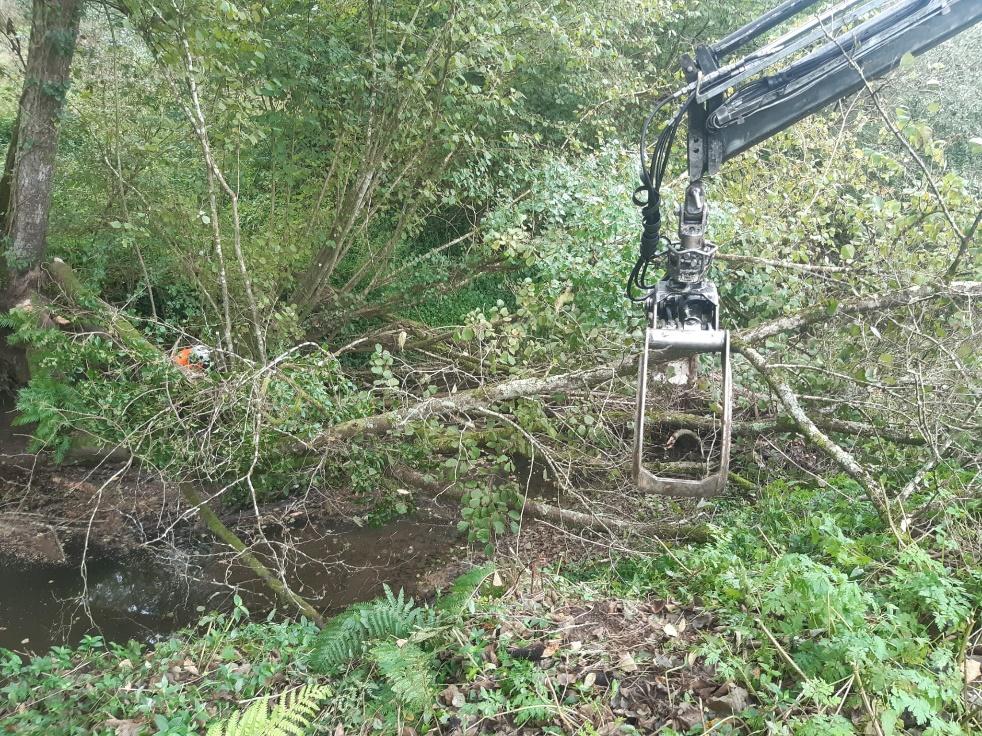 Imagen Durante la actuación. Retirada con pinza de restos vegetales acumulados en el lecho del cauce