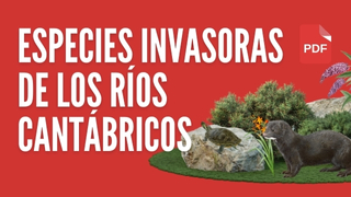 Especies invasoras