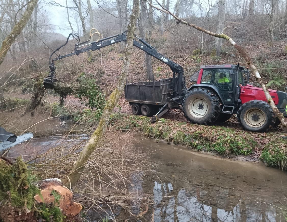 Imagen Autocargador retirando restos vegetales del cauce en Piloñeta