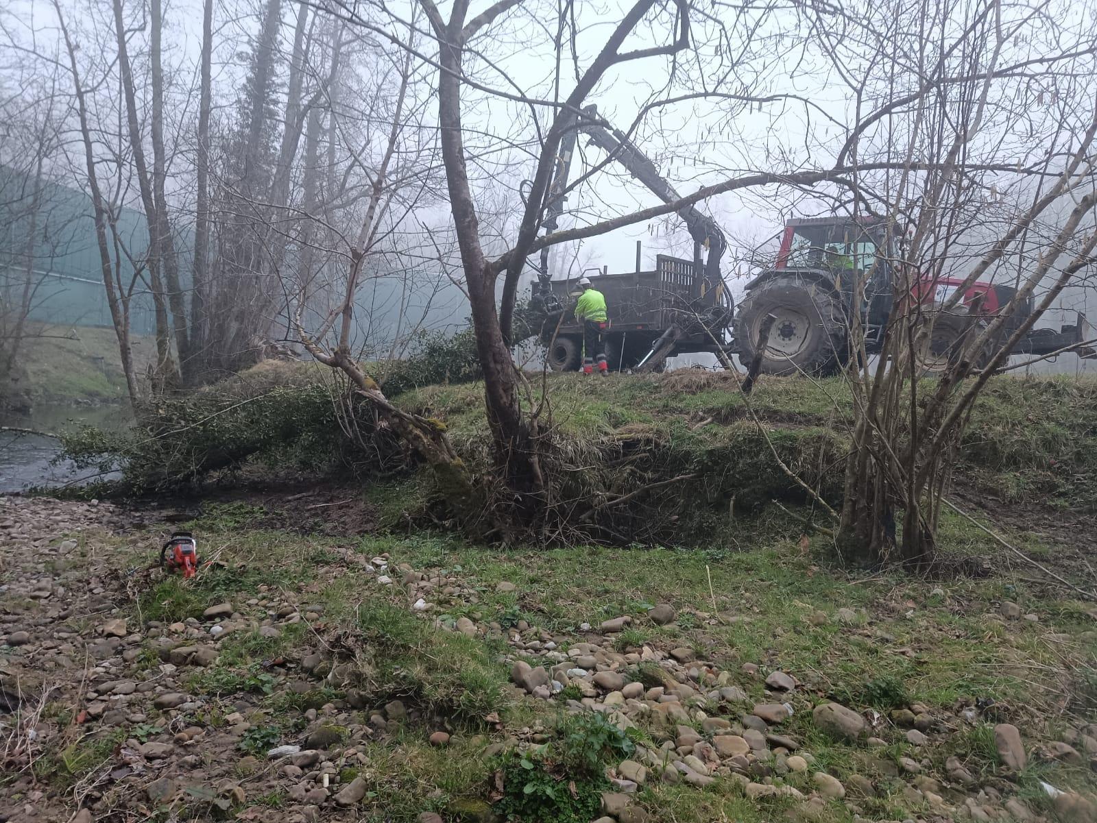 Imagen Autocargador y operario retirando tronco del cauce en Fuensanta