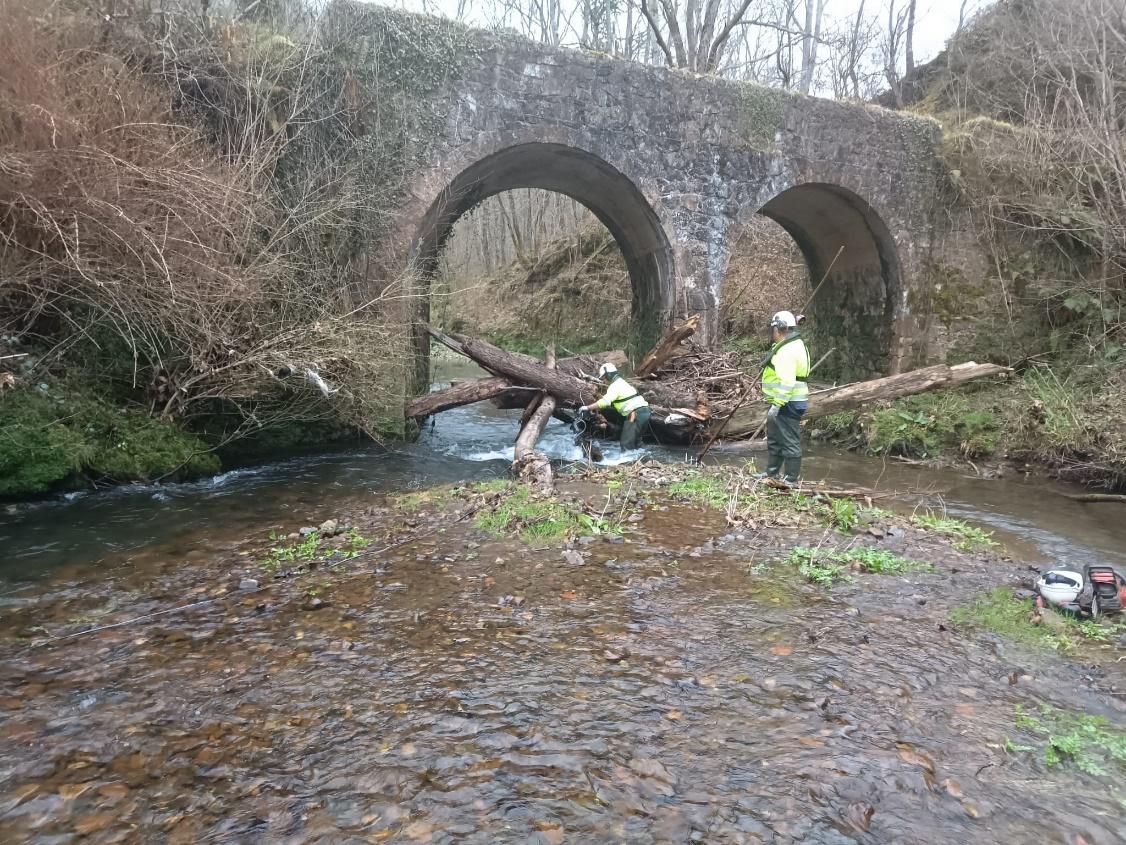 Imagen Operarios retirando restos vegetales del cauce