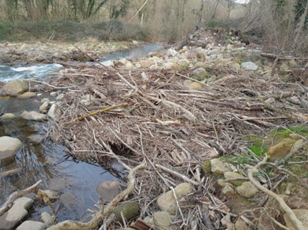 Imagen Tapones de restos vegetales en el cauce